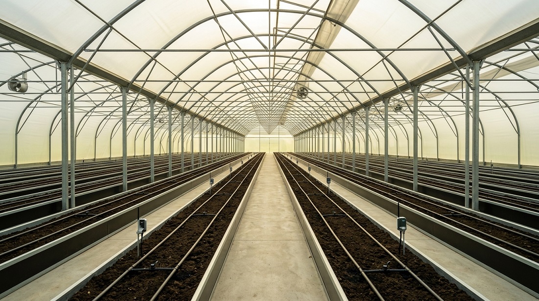Polytunnel_greenhouse_with_soil_…_202606192147